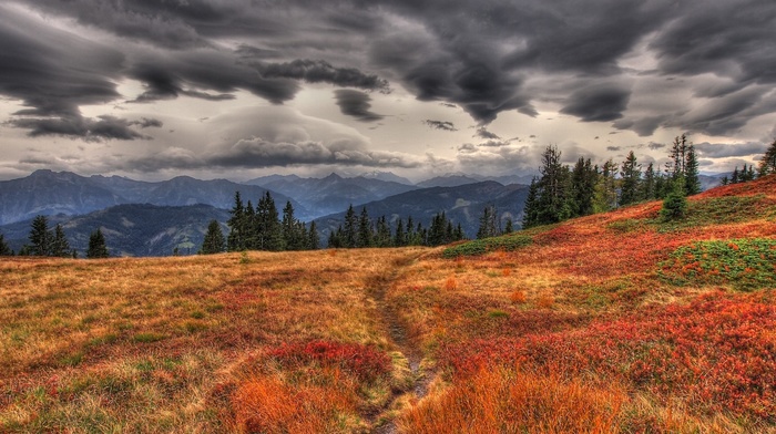 path, landscape, field, mountain