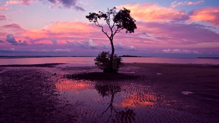 reflection, sunset, water, trees, landscape, sand, nature