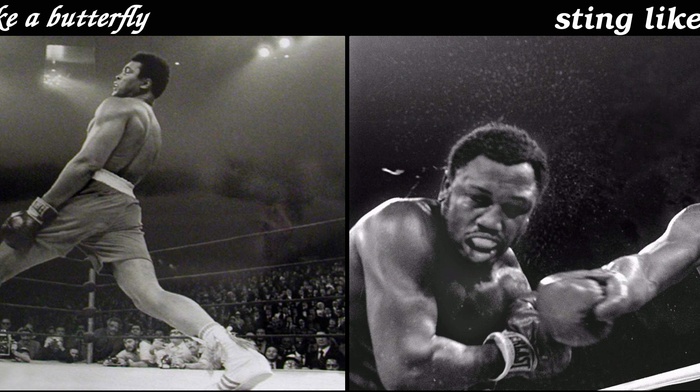 boxing, Muhammad Ali, sports