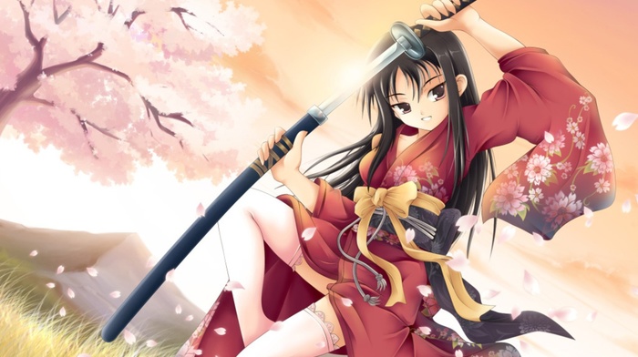 warrior, traditional clothing, sword, thigh, highs, anime girls