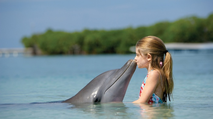ponytail, animals, dolphin, little girl, water