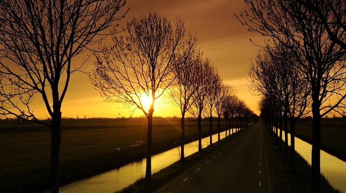 nature, sunset