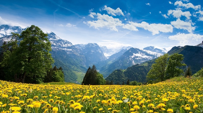 mountain