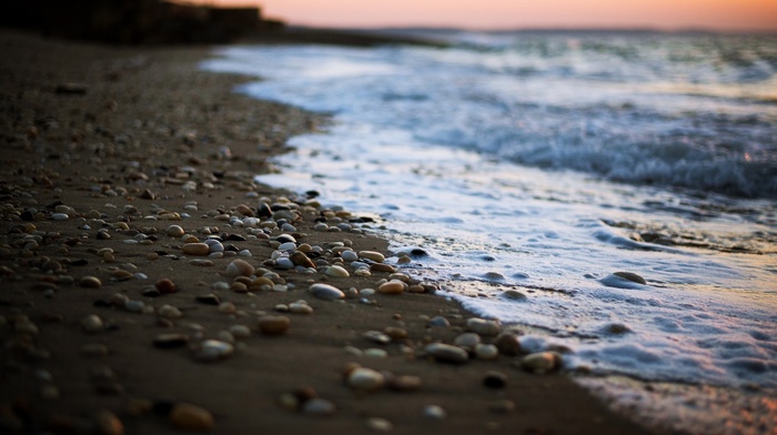 sea, pebbles, shoreline, beach, depth of field