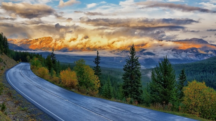 road, landscape