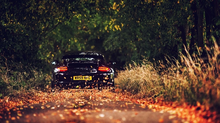 porsche 911, leaves, Porsche