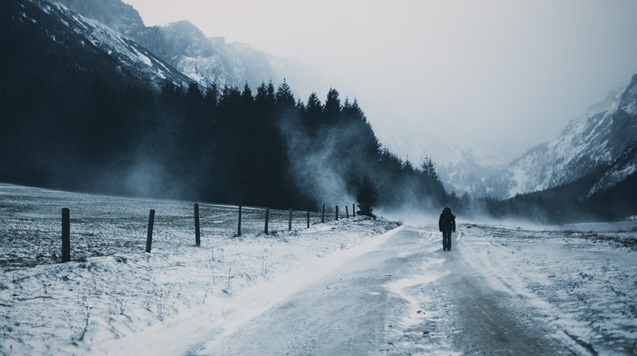 mountain, pine trees, road, snow