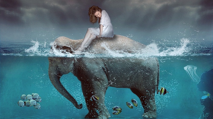 elephants, artwork, digital art, split view, fish