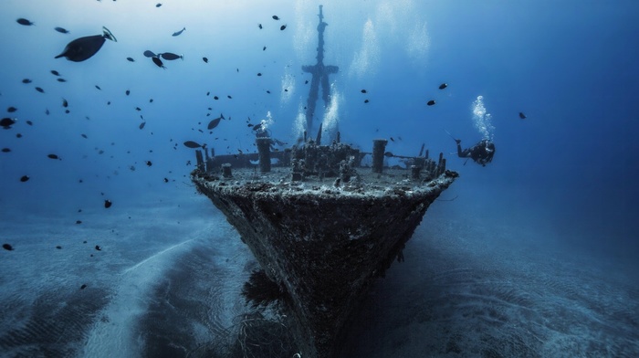 divers, fish, underwater, shipwreck