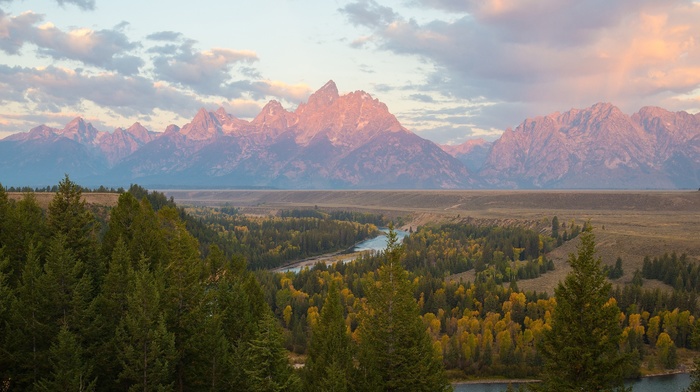 forest, river, mountain, nature, landscape