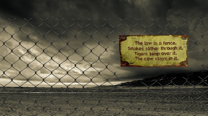 quote, law