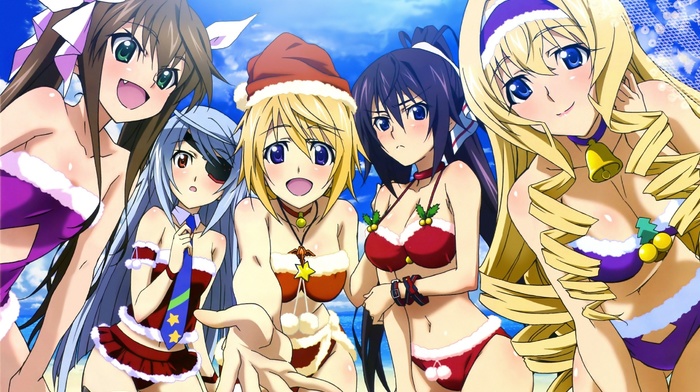 manga, Infinite Stratos