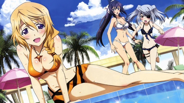 Infinite Stratos, manga