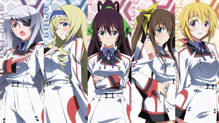 manga, Infinite Stratos