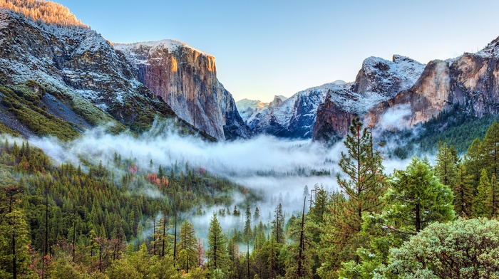 USA, snow, sunset, nature, landscape, sunlight, forest, mountain, Yosemite National Park, trees, mist