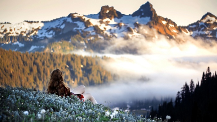 red dress, snow, field, long hair, legs, nature, mist, model, mountain, girl outdoors, trees, tilt shift, girl, forest, brunette