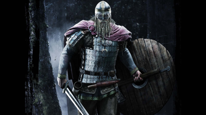 shields, vikings