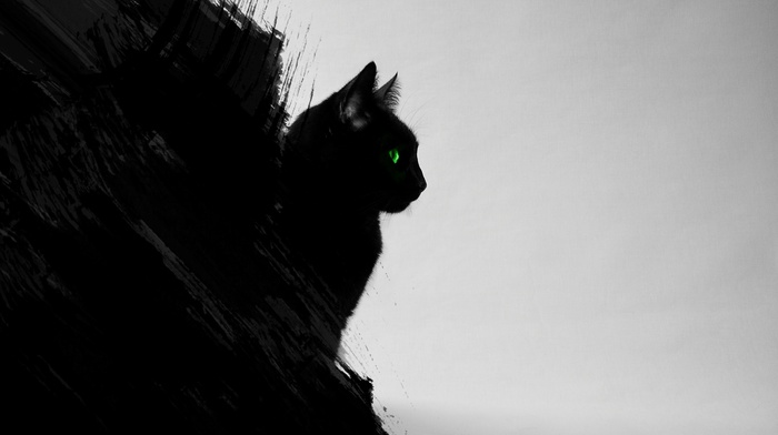 black cats, black, gray, cat, animals, digital art, artwork, green eyes