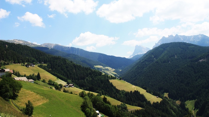 mountain, green, forest, landscape