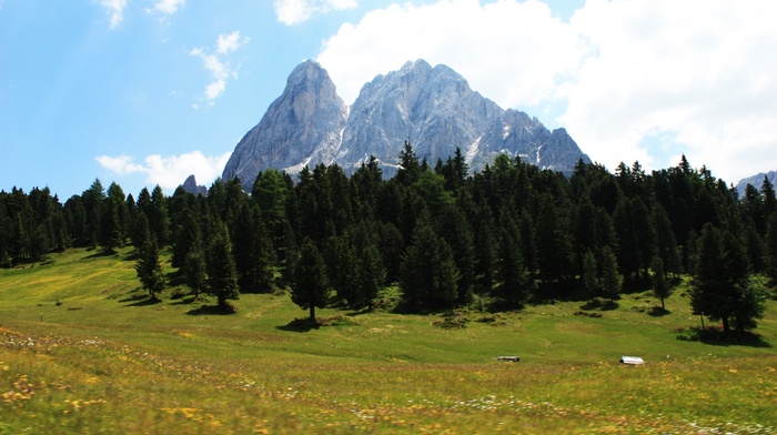 mountain, landscape, green, forest