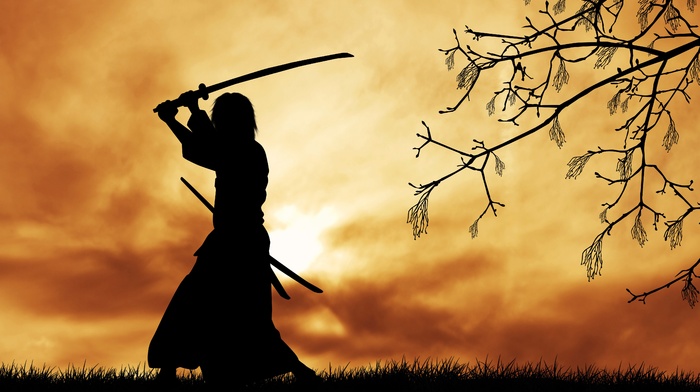 sword, Sun, grass, clouds, Japanese clothes, samurai, trees, digital art, branch, silhouette, katana
