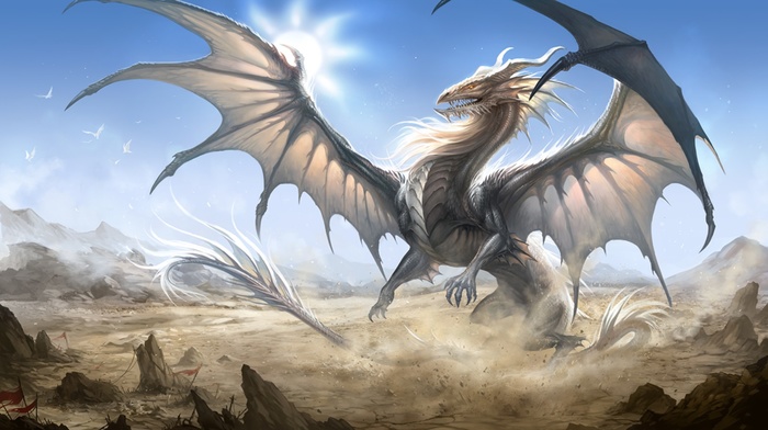 fantasy art, dragon
