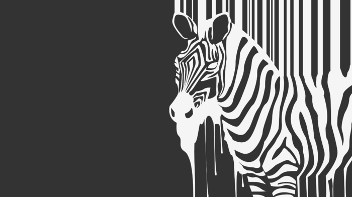 minimalism, zebras