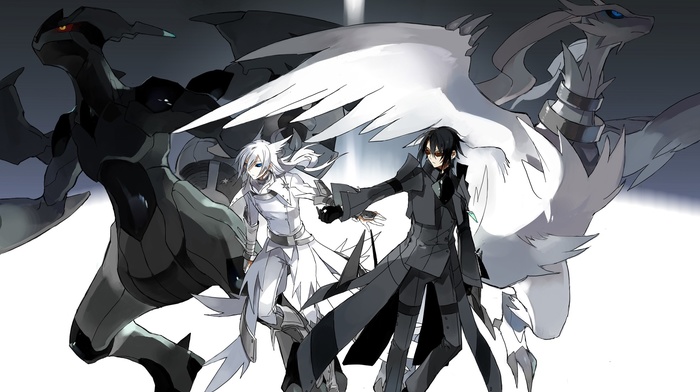 black, Pokemon, Reshiram, white, Zekrom