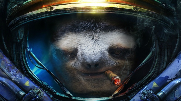 Starcraft II, sloths