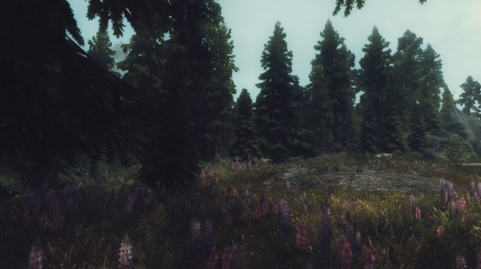 the elder scrolls v skyrim, landscape