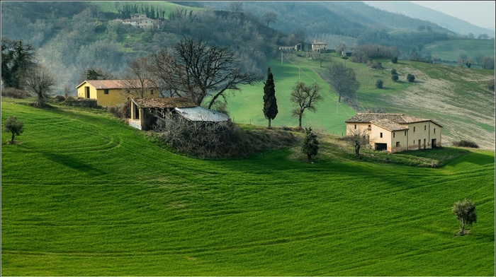 grass, landscape, trees, hill, nature, house, Italy, mist, green, forest, old building, field