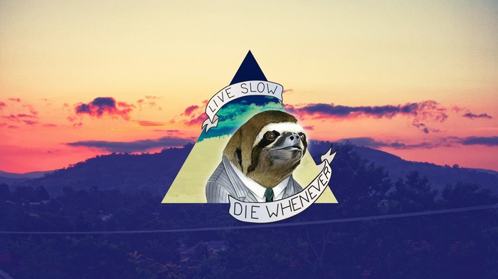 nature, sloths, suits, triangle