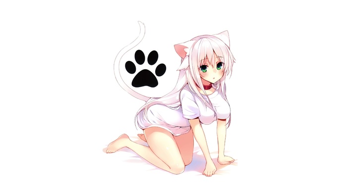 nekomimi, anime girls