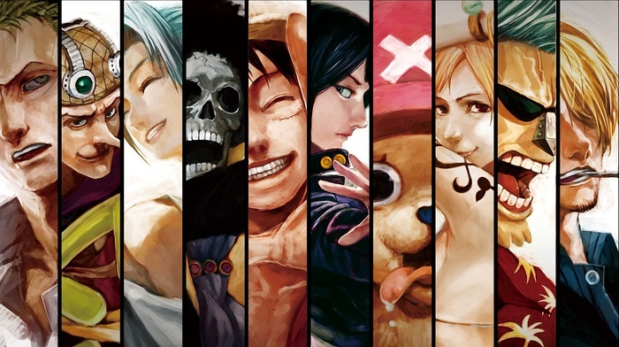 Roronoa Zoro, Usopp, Nico Robin, Nami, Brook, anime, Franky, Sanji, Monkey D. Luffy, Tony Tony Chopper, One Piece