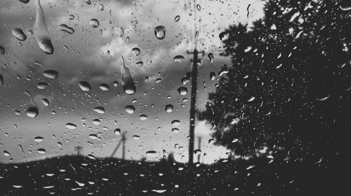 nature, rain