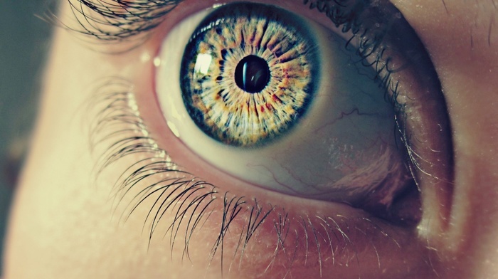 eyes, macro