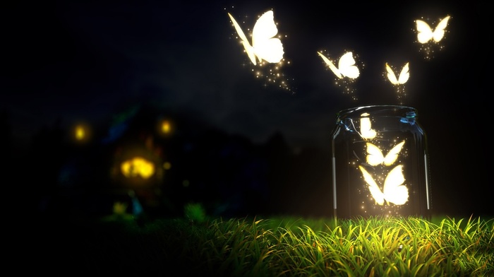 butterfly, lights