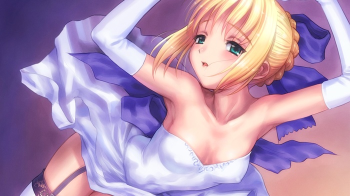 fate series, FateStay Night, Saber