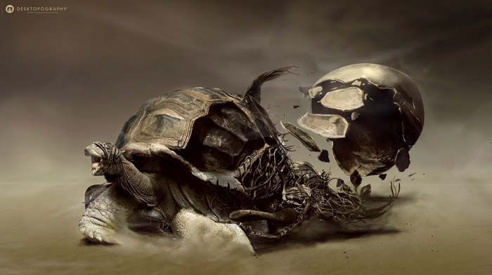 sand, roots, digital art, turtle, Desktopography, artwork, animals