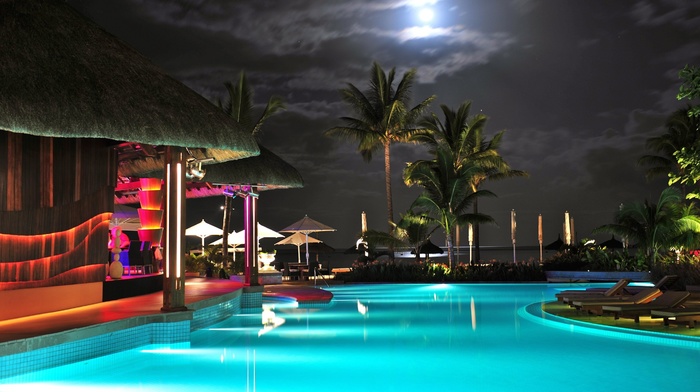 night, swimming pool, palm trees, water
