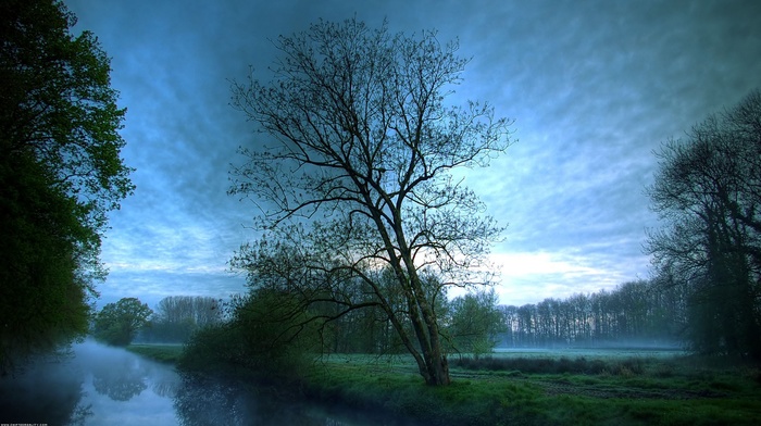 mist, landscape, nature, trees