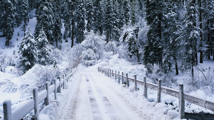 snow, bridge, landscape, winter, nature