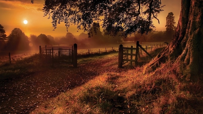 trees, fence, fall, sun rays, field, grass, road, gates, landscape, nature, sunrise