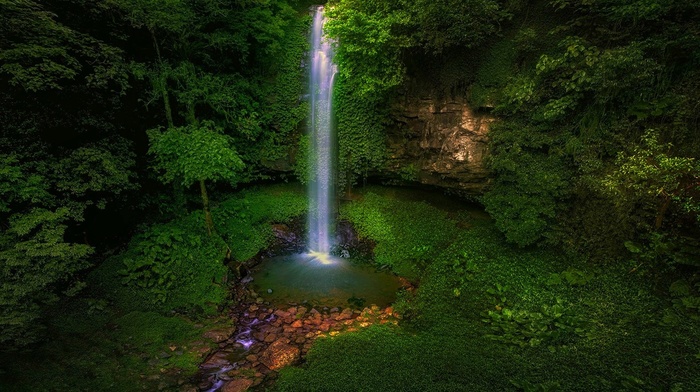 Australia, forest, trees, waterfall, nature, landscape, green