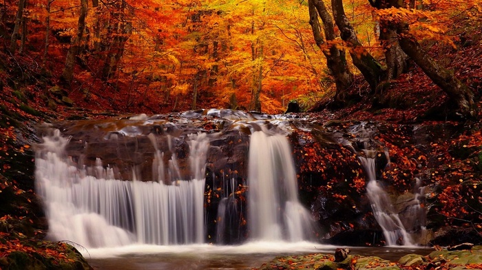 fall, trees, forest, landscape, waterfall, river