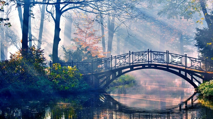 river, bridge, forest, trees, reflection