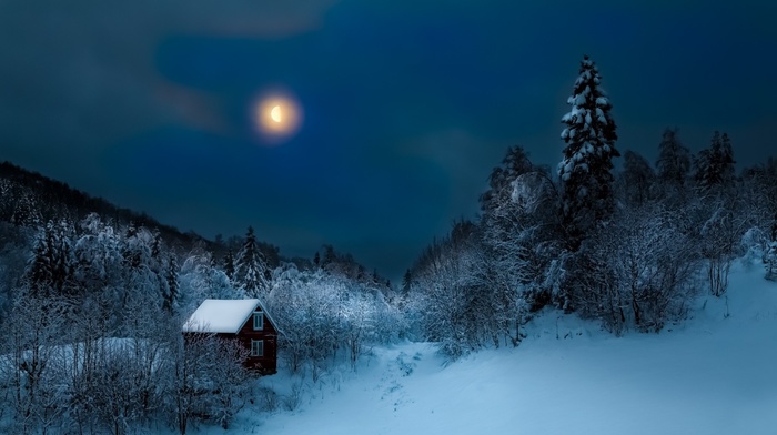 winter, mist, night, moon, nature, landscape, snow, cottage, hill, forest