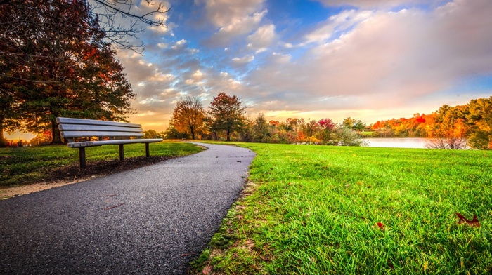 sunset, park, green, fall, grass, nature, clouds, trees, path, HDR, bench, landscape