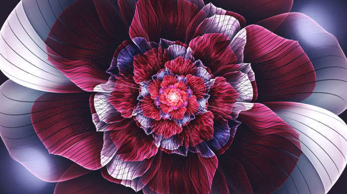 flowers, digital art, fractal, fractal flowers, petals, abstract, symmetry