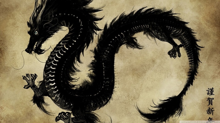 dragon, illustration, chinese dragon